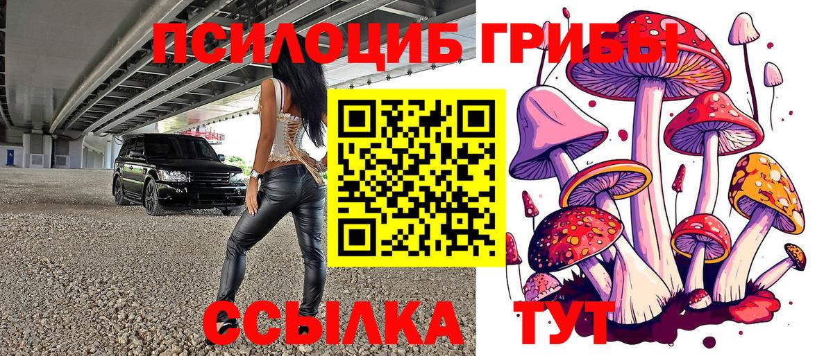Псилоцибиновые грибы GOLDEN TEACHER Волгодонск