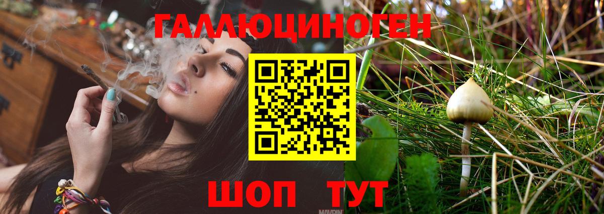 Волгодонск  Псилоцибиновые грибы мухоморы  Вход с VPN 